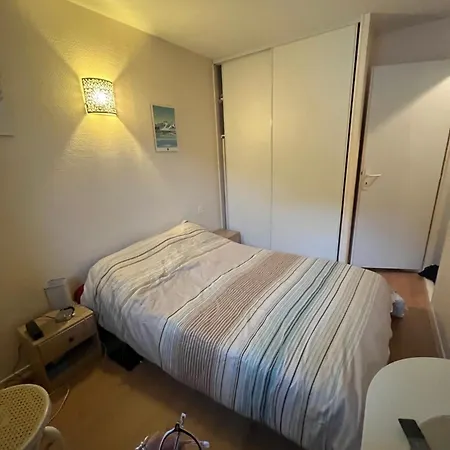 Duplex En Plein Centre De De 4 A 6 Couchages Et 2 Dont Sous-toit * Cauterets